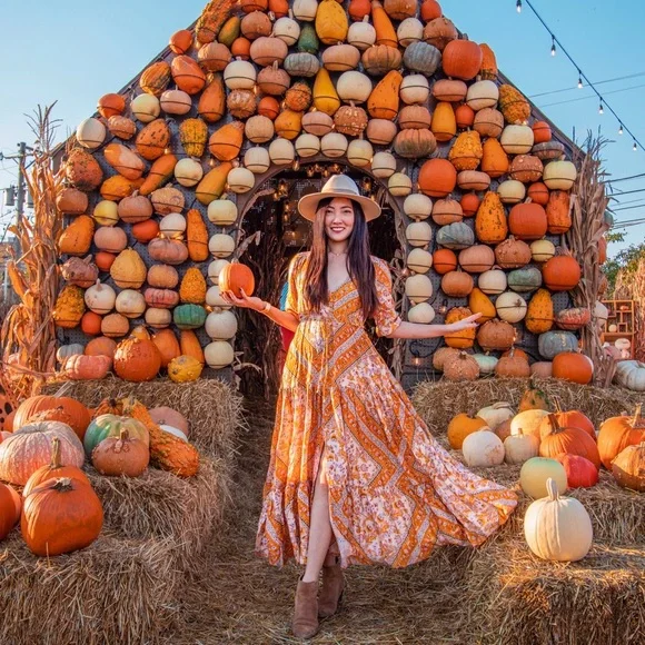 chinese dress ladies The Marigold Dress